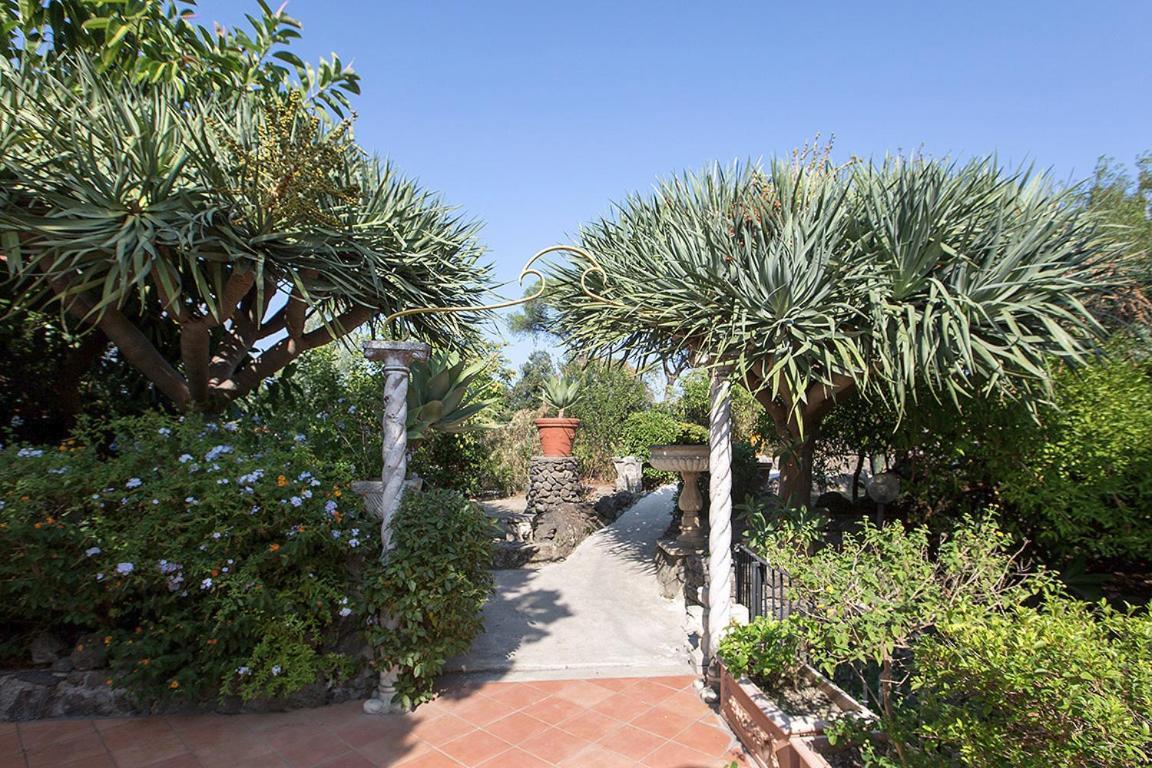 Villa Gianturco - Luxury In The Green Island 伊斯基亚 外观 照片